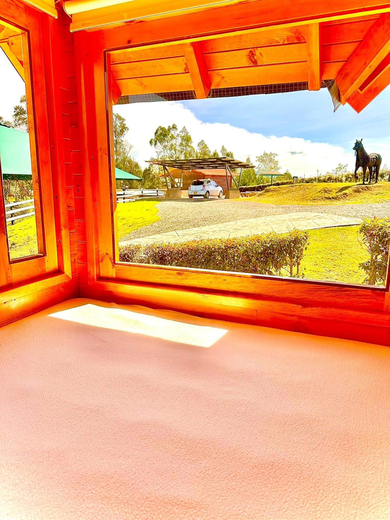 De Pino Escapada Natural A 7 Min Chiquinquira (Boyaca)